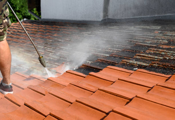Roof Power Washing Services in Ridgecrest, FL